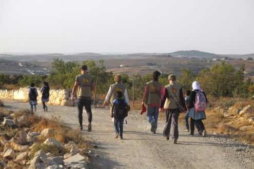 EAPPI: Begleitung am Checkpoint und beim Weidegang