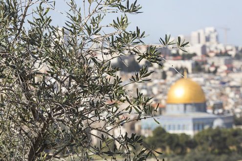 Israelisch-Palästinensischer Dialog: Protagonisten des Romans „Apeirogon“ zu Gast in Deutschland (Juni 2022)