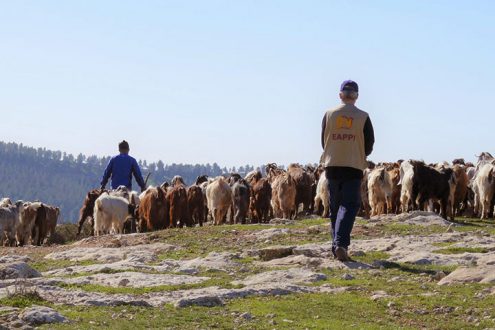 Ausstellungseröffnung am 10.06.22: EAPPI – Begegnungen in Palästina und Israel