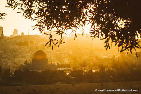 Women Wage Peace fordert Ende des Krieges