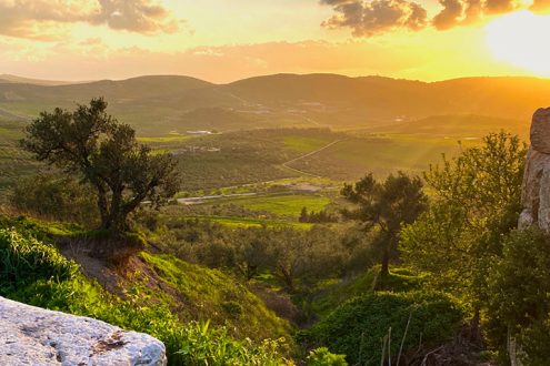 Der palästinensische Schrei nach Hoffnung – Antworten der deutschen und anderer Kirchen