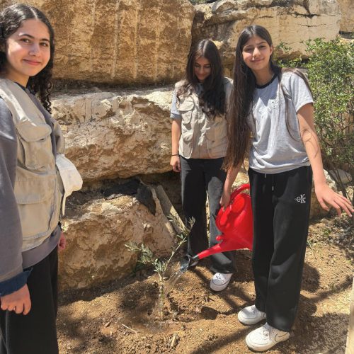 evangelisch-lutherische-schule-bethlehem-pflanzaktion-olivenbaueme-2