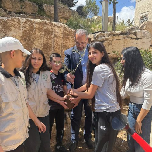 evangelisch-lutherische-schule-bethlehem-pflanzaktion-olivenbaueme