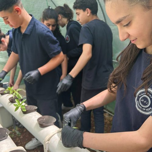 evangelisch-lutherische-schule-der-hoffnung-pflanzaktion-umweltclub-3