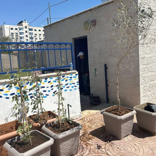 evangelisch-lutherische-schule-der-hoffnung-pflanzaktion-umweltclub-4