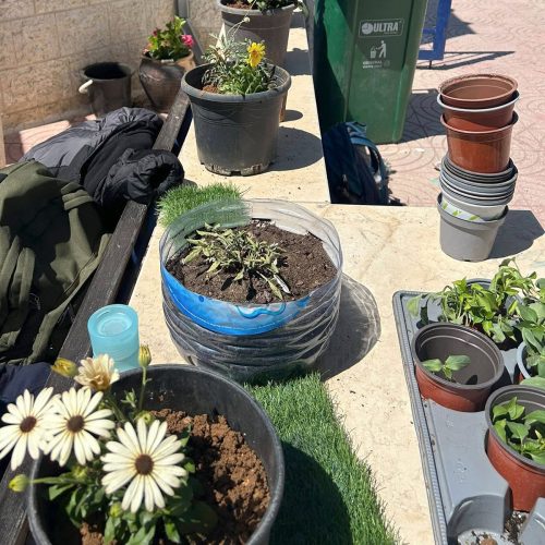 evangelisch-lutherische-schule-der-hoffnung-pflanzaktion-umweltclub-5