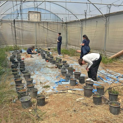 evangelisch-lutherische-schule-der-hoffnung-pflanzaktion-umweltclub-6