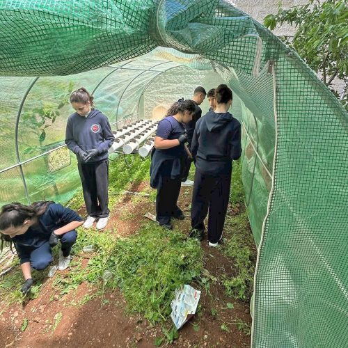 evangelisch-lutherische-schule-der-hoffnung-pflanzaktion-umweltclub-7