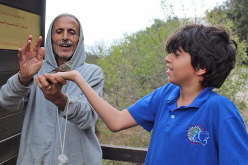 Kirchliches Umweltzentrum: Vogelschutz im Fokus