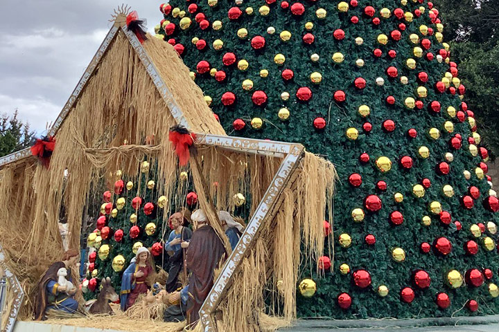 Krippe und Weihnachtsbaum auf dem Platz vor der Geburtskirche in Bethlehem, 2025